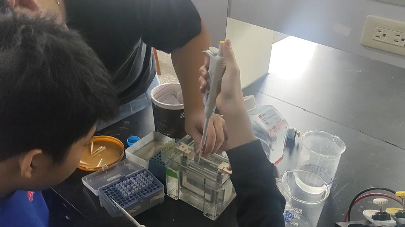寒假研習營活動照片4